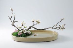 中国传统插花课程